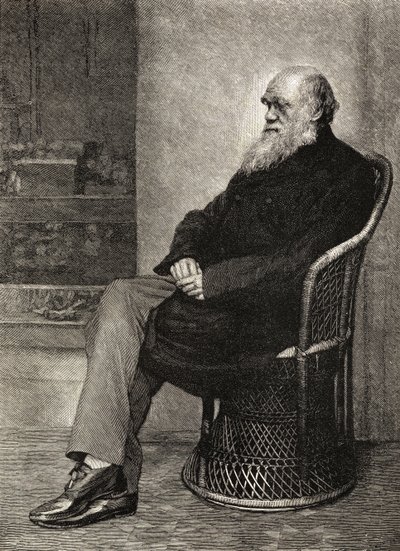 Charles Darwin, illustration from 